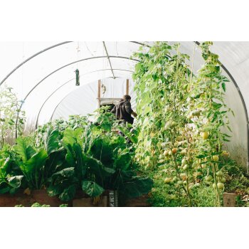 BASF ammonium sulphate nitrate 5kg