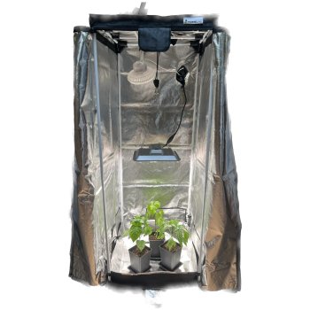 Complete Grow Kit for 3 plants