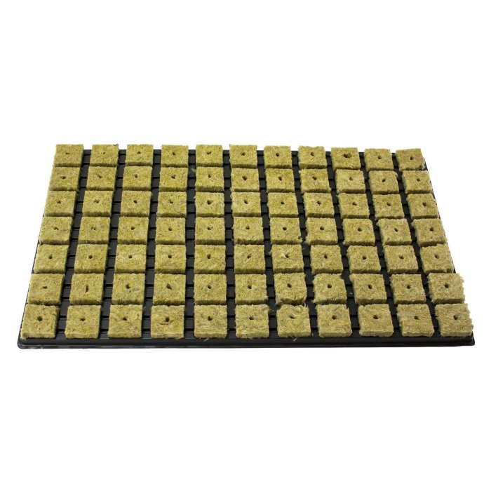 Grodan cultivation tray 77 pcs (36mm)
