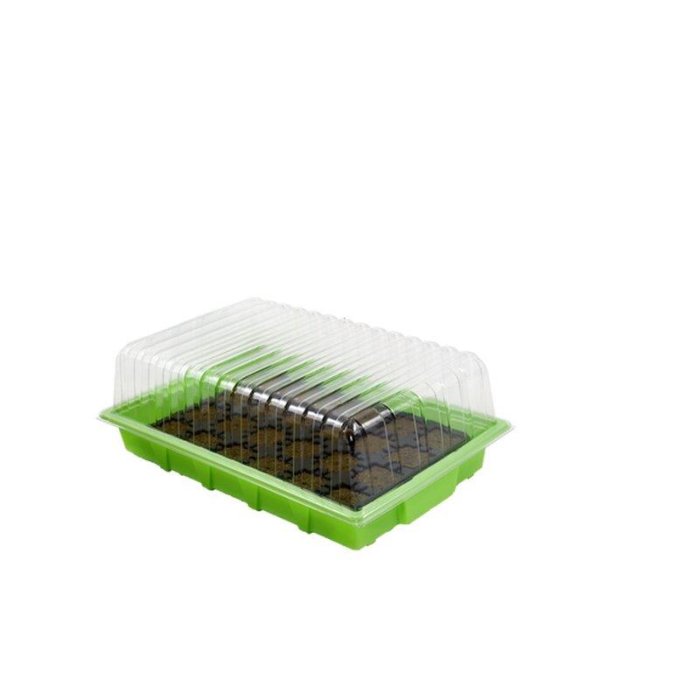 24x 3,5cm (incl. propagator)